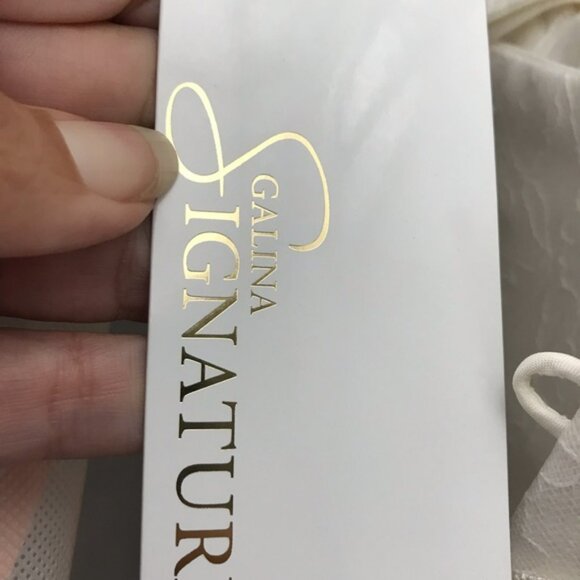 David’s Bridal Galina Signature Wedding Gown - Picture 3 of 6